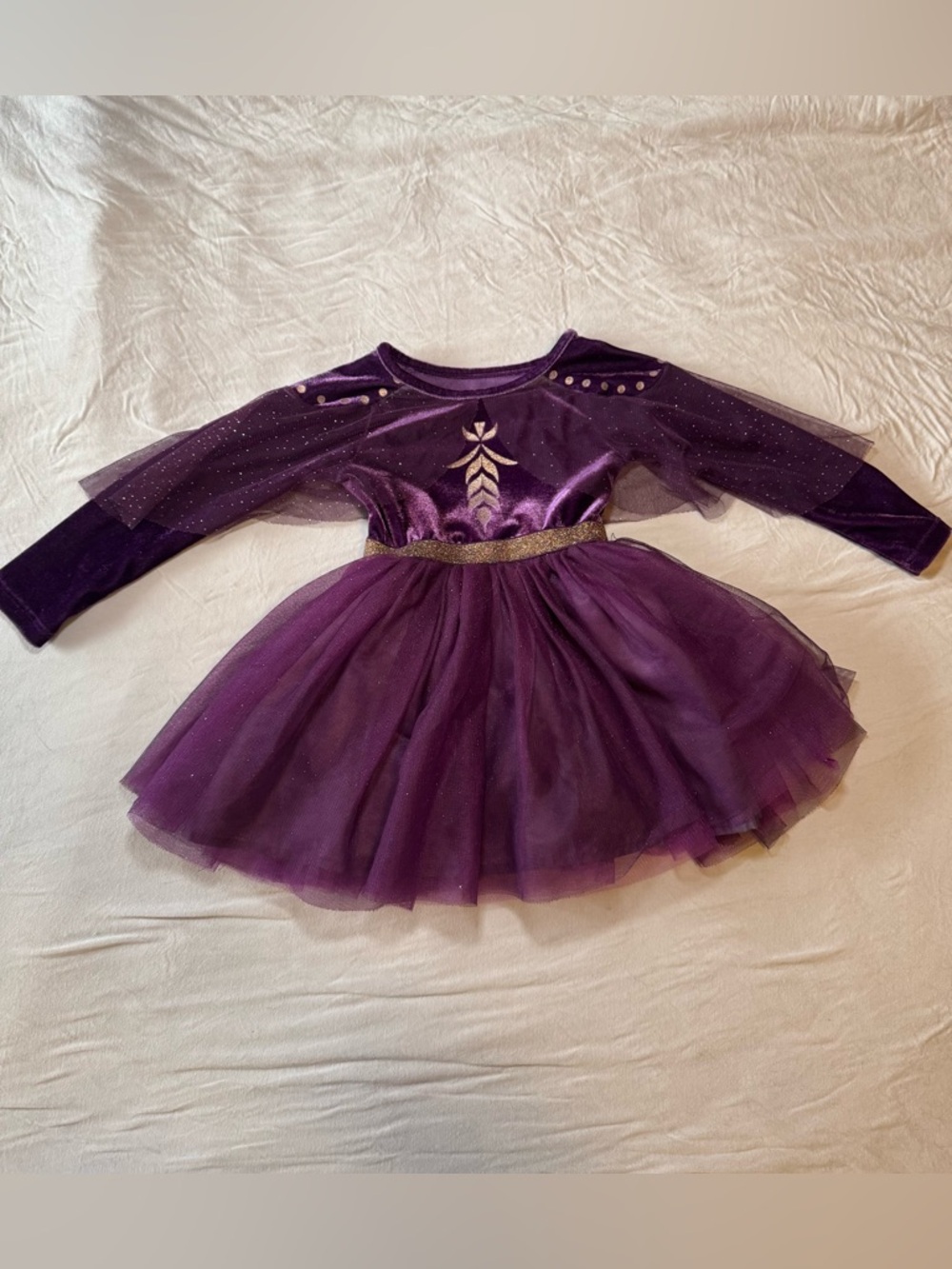 Sparkling Princess Anna Frozen Velvet & Tulle Gown with Bodysuit
